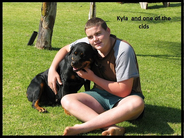 facts-about-the-rottweiler